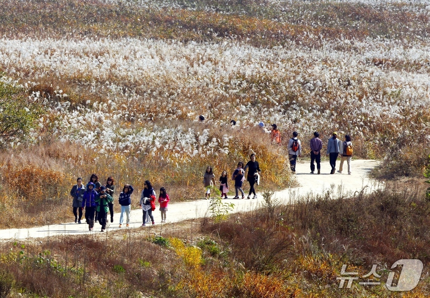 충주시, 환경부 공모사업 선정...비내섬 습지탐방지원센터 건립 - 뉴스 썸네일 이미지