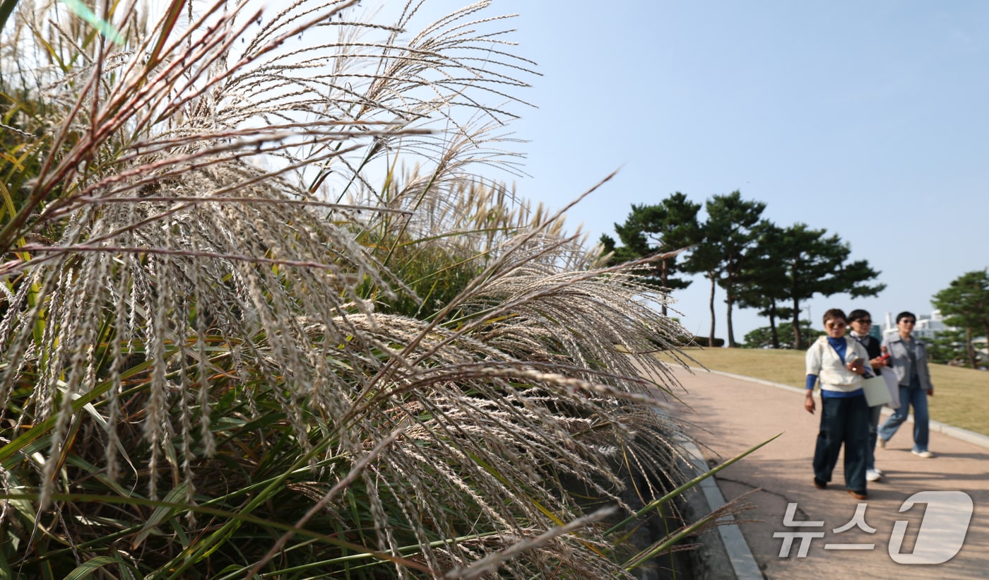 주말 전국, 벼락·돌풍 동반 요란한 가을비 예보