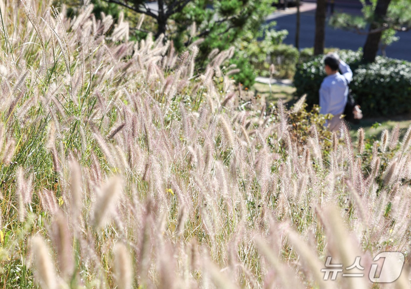 자료사진. 2026.10.2 ⓒ 뉴스1 이종수 기자