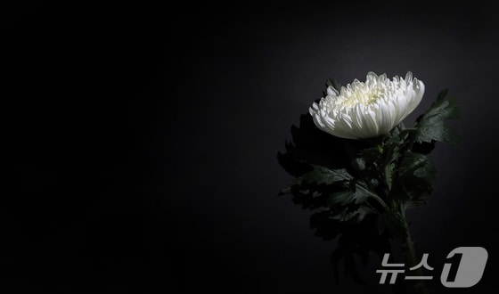 충청투데이 신규식 사장 장모 유춘자씨 별세