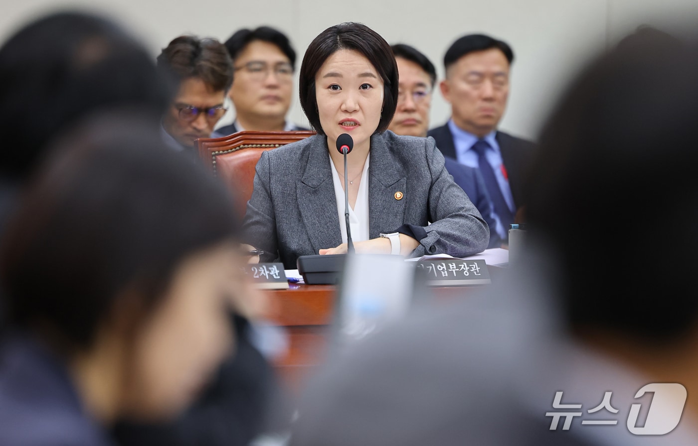 티메프·홈플러스에 배달앱까지…입점 소상공인 '리스크' 국감 도마