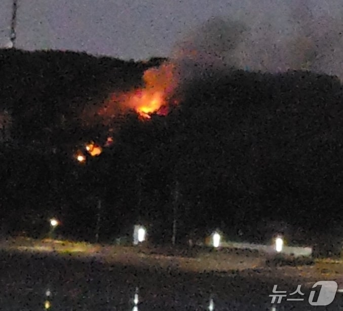 인천 영흥도 펜션, 쓰레기 소각 중 화재 발생…임야 600평 소실