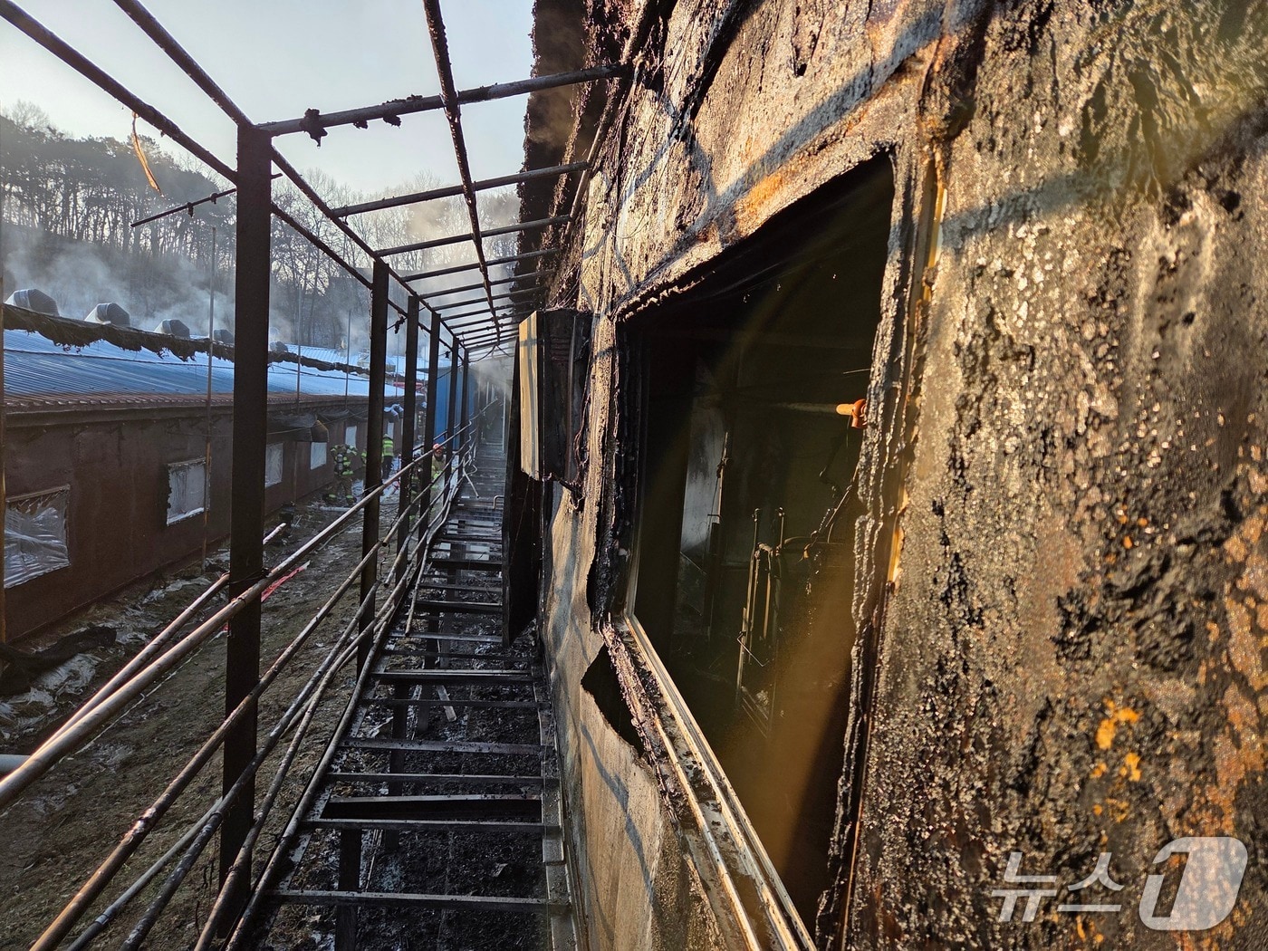 천안 동남구 성남면 돈사 화재 현장. (천안동남소방서 제공, 재판매 및 DB금지) / 뉴스1 