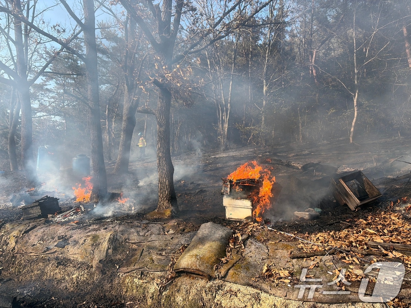 1일 오후 3시쯤 전남 무안군 일로읍의 한 산에서 불이 나 소방당국이 진화를 벌이고 있다. (전남소방본부 제공. 재판매 및 DB금지) 2026.2.1/뉴스1 