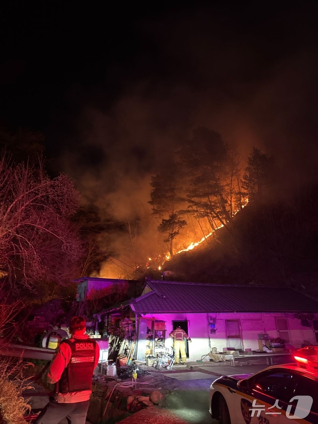 1일 오후 강원 동해시 달방동 산불 현장.(강원도 산불방지대책본부 제공, 재판매 및 DB 금지) 2026.2.1/뉴스1
