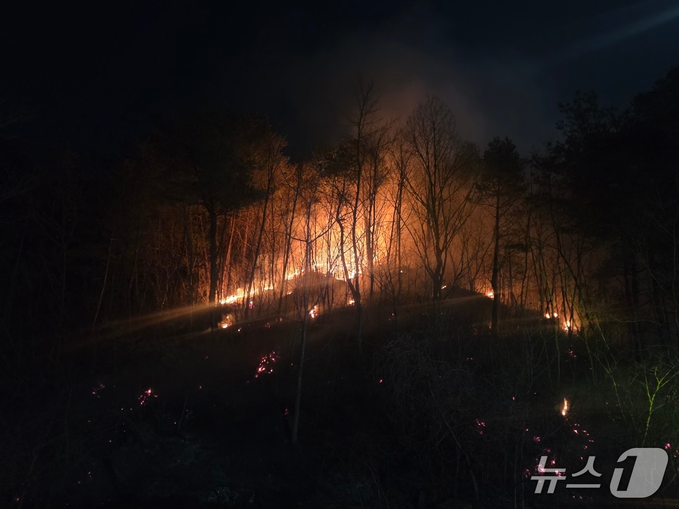 1일 오후 강원 동해시 달방동 산불 현장.(강원도 산불방지대책본부 제공, 재판매 및 DB 금지) 2026.2.1/뉴스1