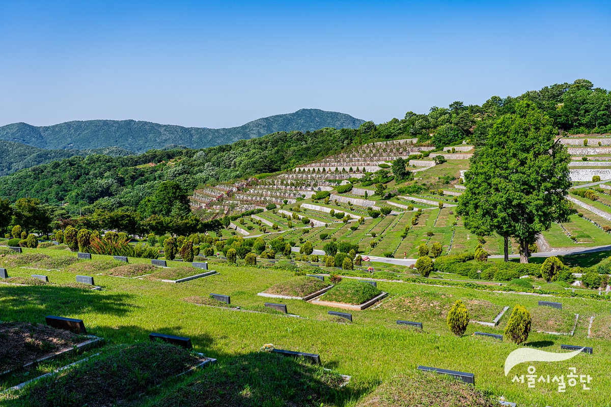 용미리 묘지 전경(서울시 제공)