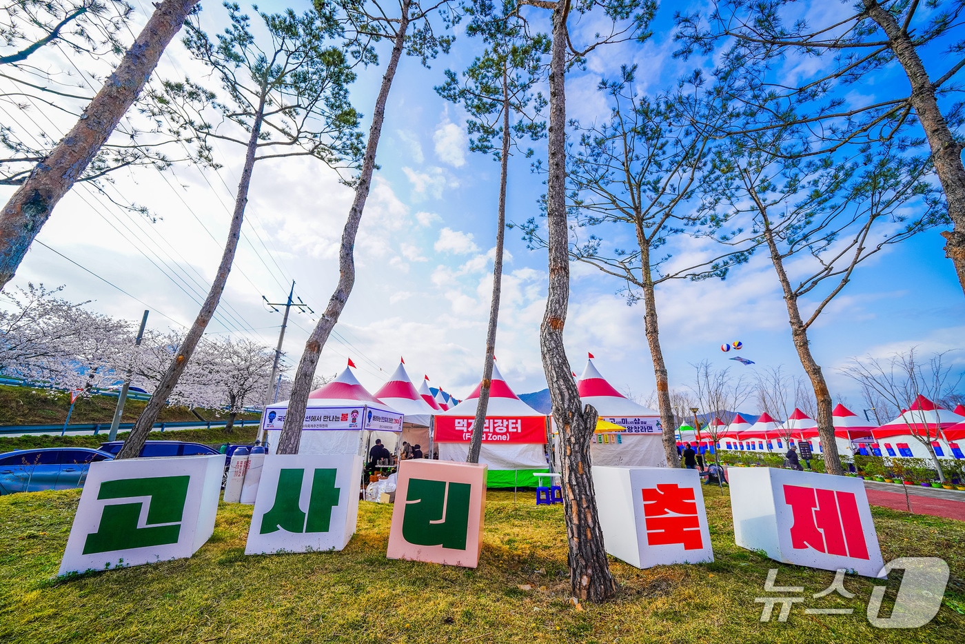 남해군 창선고사리축제장 전경(남해군 제공. 재판매 및 DB금지).