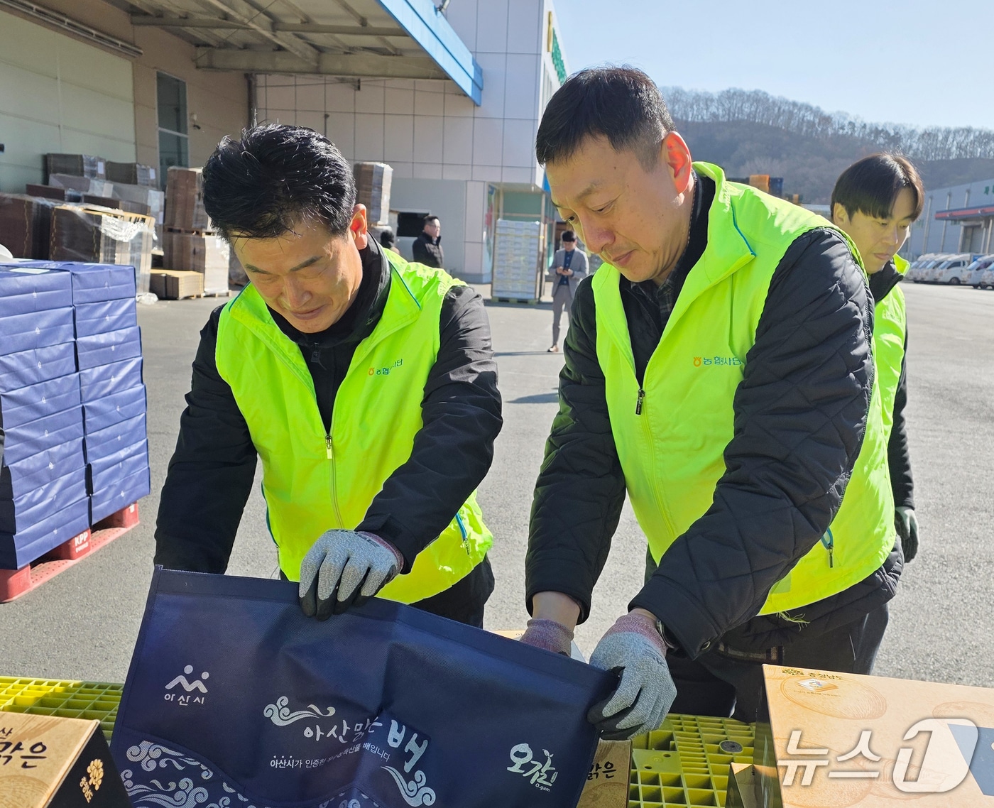 농협충남세종농협 아산원예농협 산지유통센터 일손돕기 현장. (충남세종농협 제공, 재판매 및 DB금지) / 뉴스1