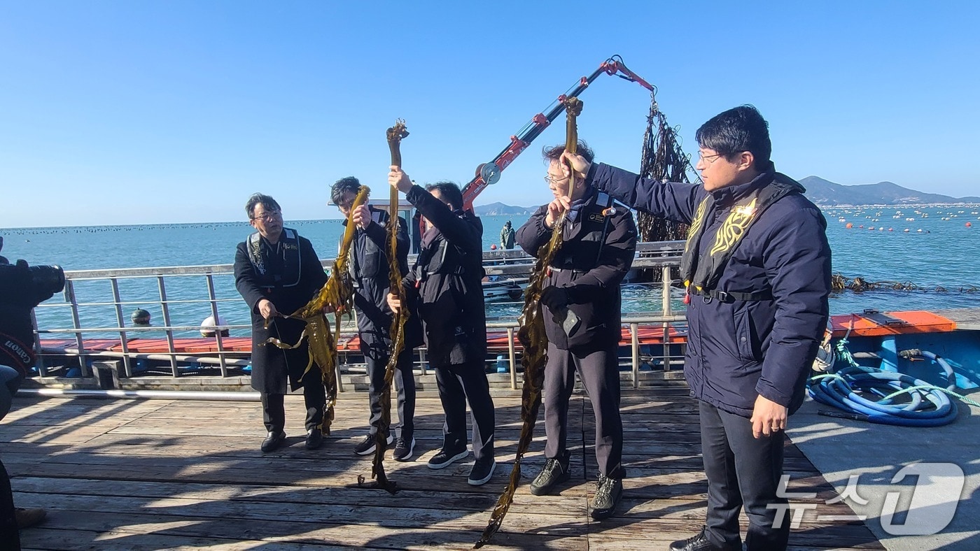 지난 9일 전남 완도군에서 진행된 '바다숲 탄소거래 시범사업' 현장점검 (수산자원공단 제공. 재판매 및 DB금지)/뉴스1