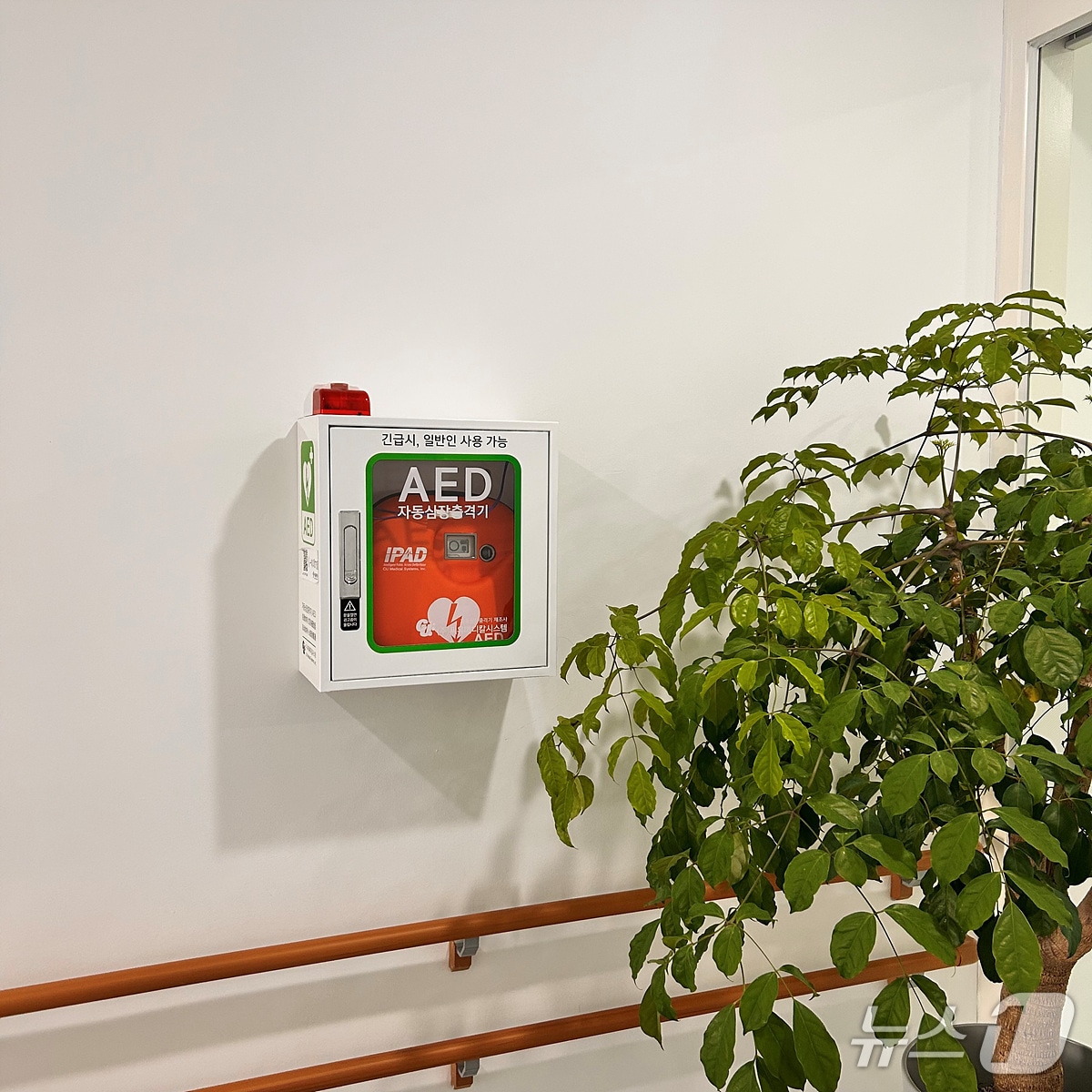 강서양천교육지원청 자동심장충격기 설치 모습.(양천구 제공)