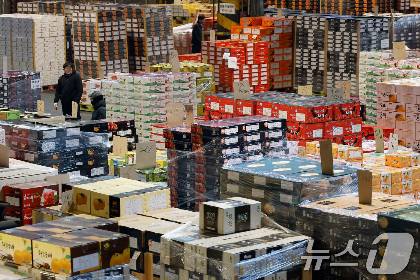 설 명절을 앞둔 11일 오후 서울시 송파구 가락동 가락농수산물종합도매시장 내 농협가락공판장 경매장에서 직원들이 전국에서 올라온 과일을 점검하고 옮기는 등 분주히 움직이고 있다. 2026.2.11 ⓒ 뉴스1 박정호 기자