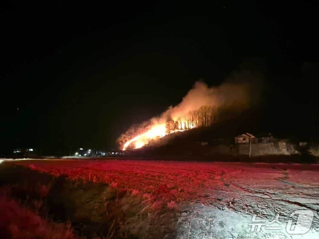 12일 새벽 강원 양양군 양양읍 화일리 산불 현장.(강원도산불방지대책본부 제공, 재판매 및 DB 금지) 2026.2.12/뉴스1