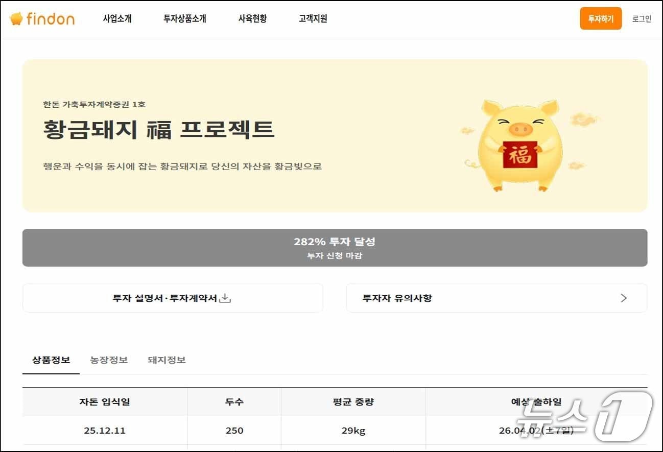 핀돈 공식 플랫폼./뉴스1