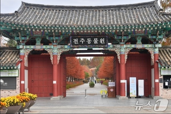 전주동물원 전경/뉴스1