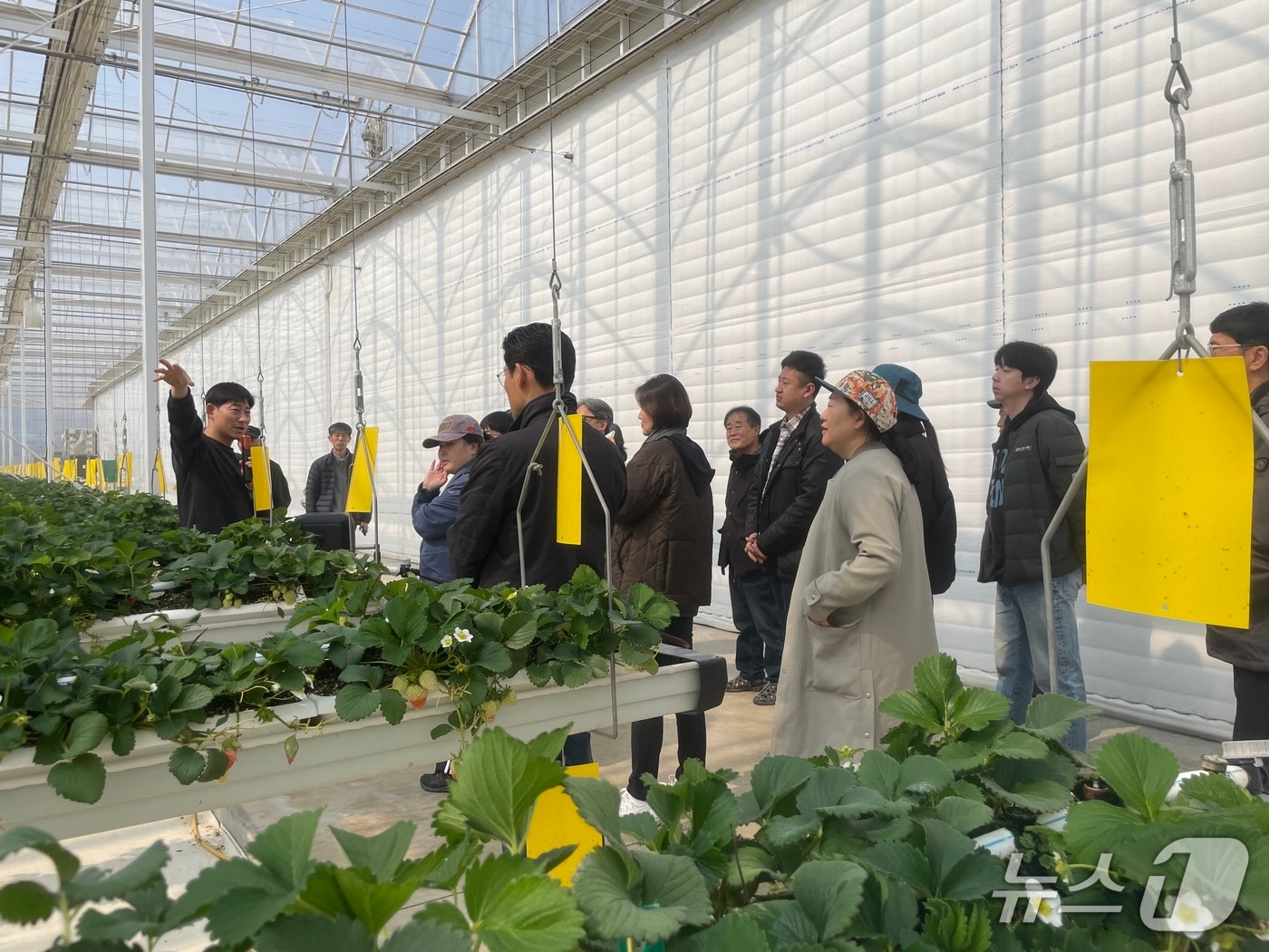 전원 생활(서울시 제공)