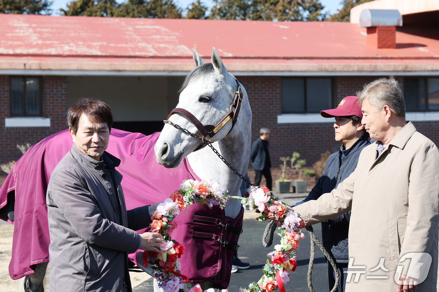 지난 12일 한국마사회 제주목장에서 열린 세계적인 명마 '닉스고' 환영식.(한국마사회 제주목장 제공. 재판매 및 DB 금지)