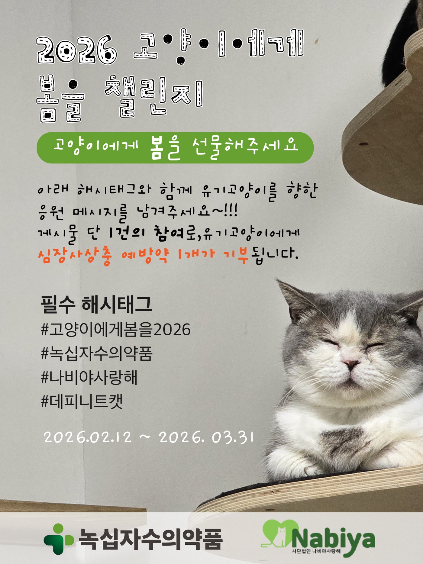 "고양이에게 봄을"...녹십자수의약품, 데피니트캣 기부 캠페인 전개 - 뉴스 썸네일 이미지