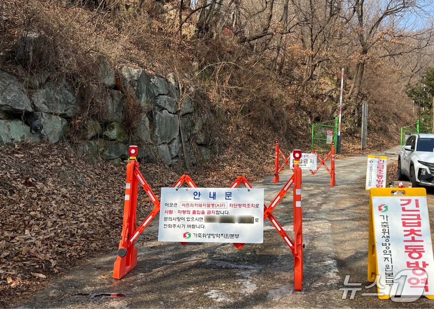 경북 김천시 구성면에 있는 한 양돈농장에서 13일 아프리카돼지열병이 발생해 당국이 방역 및 종사자와 차량 이동제한 조치에 나섰다. (김천시 제공. 재판매 및 DB금지)/뉴스1