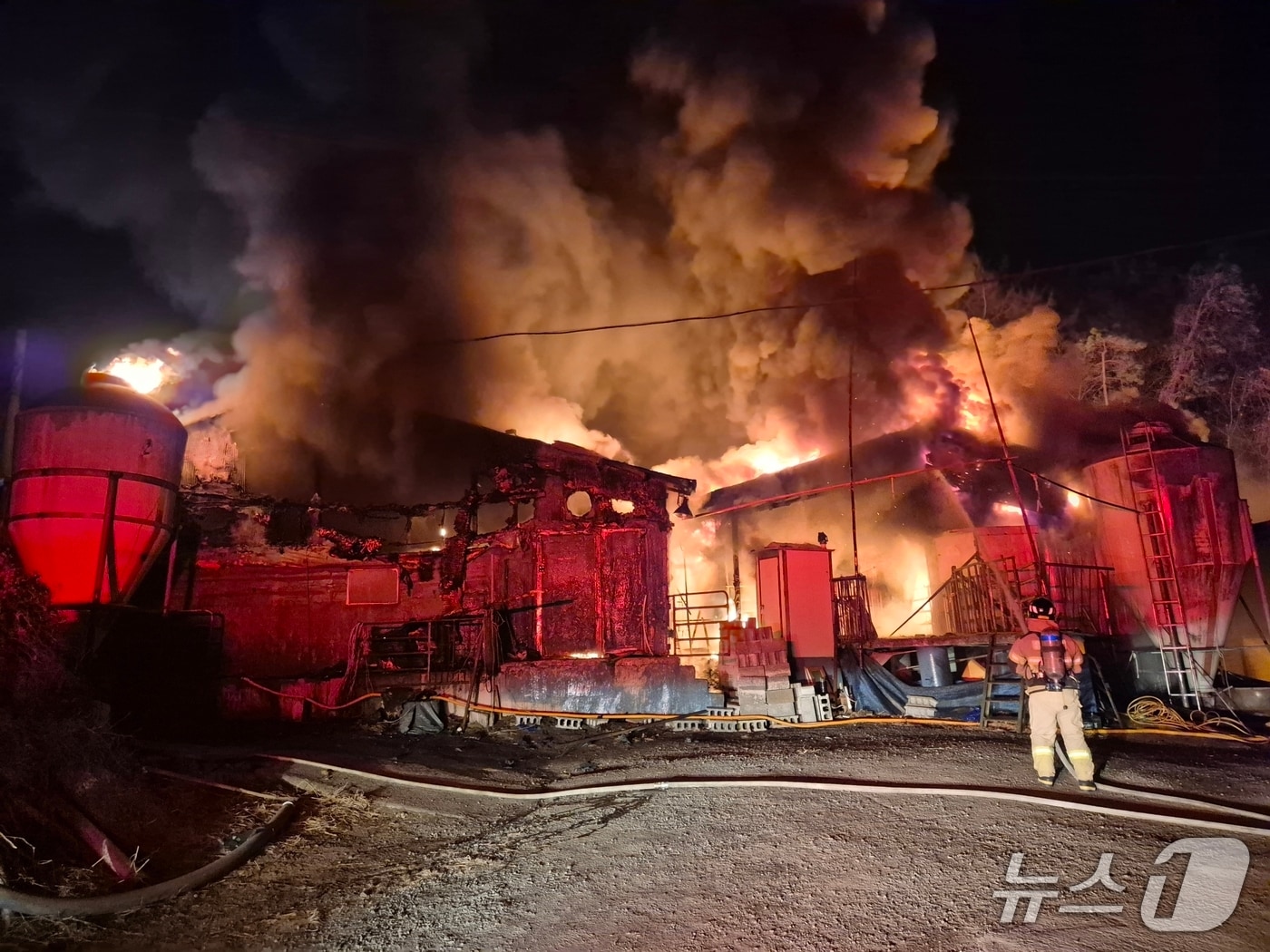  홍성군 홍동면 돈사 화재 현장. (홍성소방서 제공, 재판매 및 DB금지) / 뉴스1