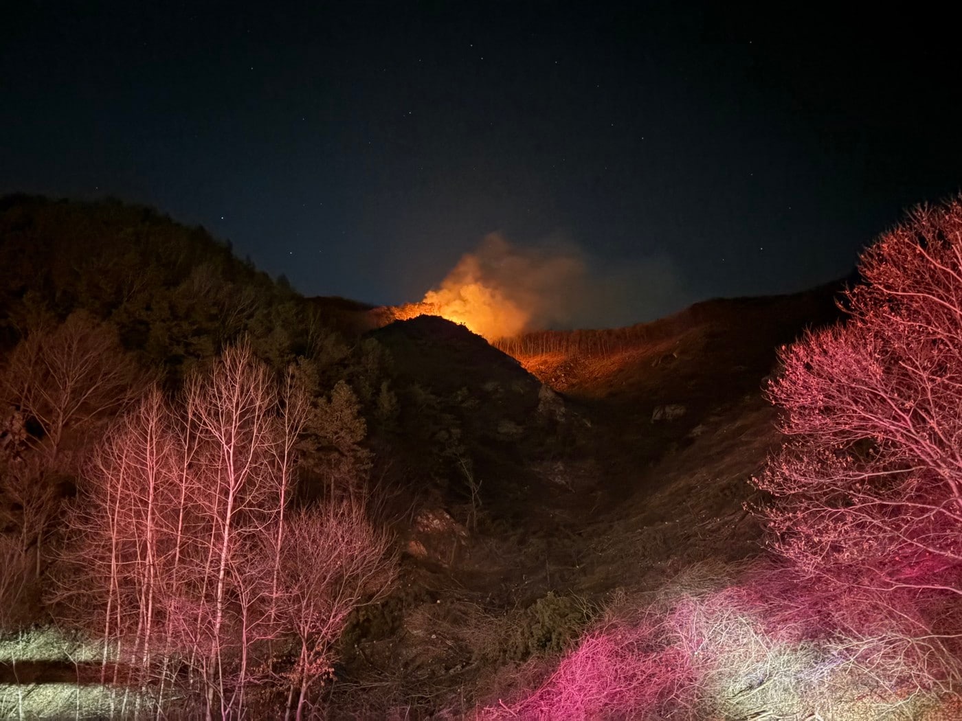 충남 금산군 진산면 산불 현장.(산림청 제공. 재판매 및 DB금지)/뉴스1