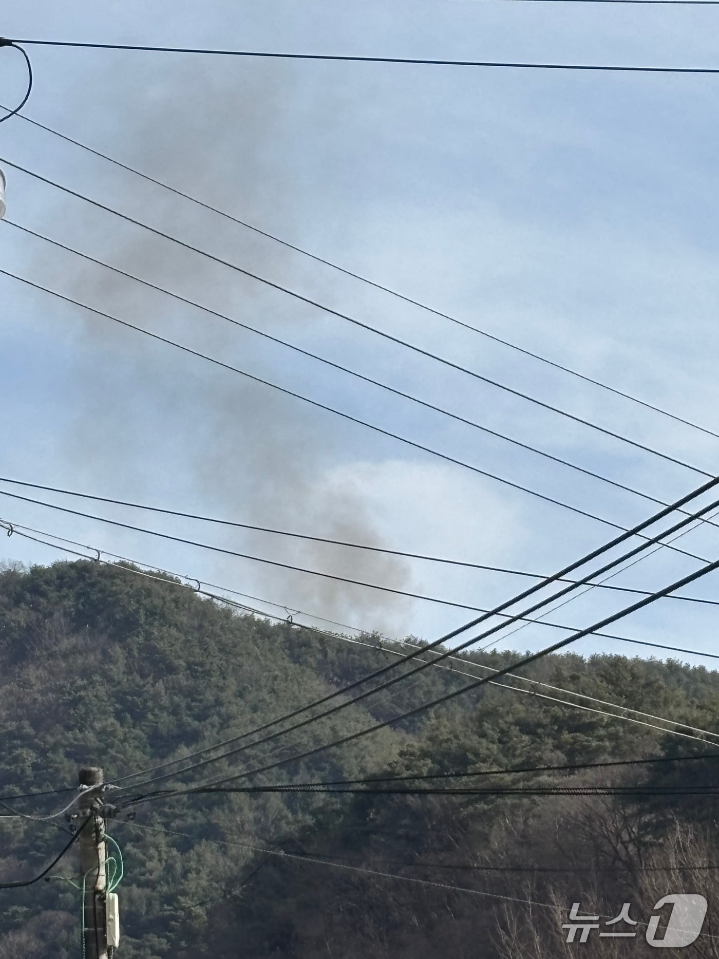 16일 오후 2시 43분쯤 합천군 대양면의 한 야산에서 불이났다. 사진은 화재 현장 모습.(산림청 제공. 재판매 및 DB금지)