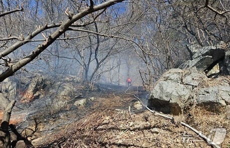 17일 강원 원주 판부면 산불 현장.(강원소방본부 제공, 재판매 및 DB 금지) 2026.2.17/뉴스1