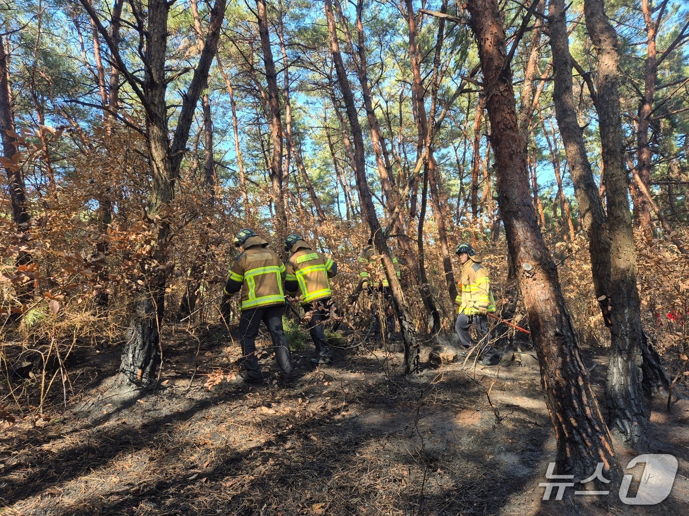 17일 낮 12시59분쯤 대구 달성군 현풍읍 자모리의 한 야산에서 불이 나 소방 당국이 현장에 출동했다.(대구소방안전본부 제공. 재판매 및 DB금지)