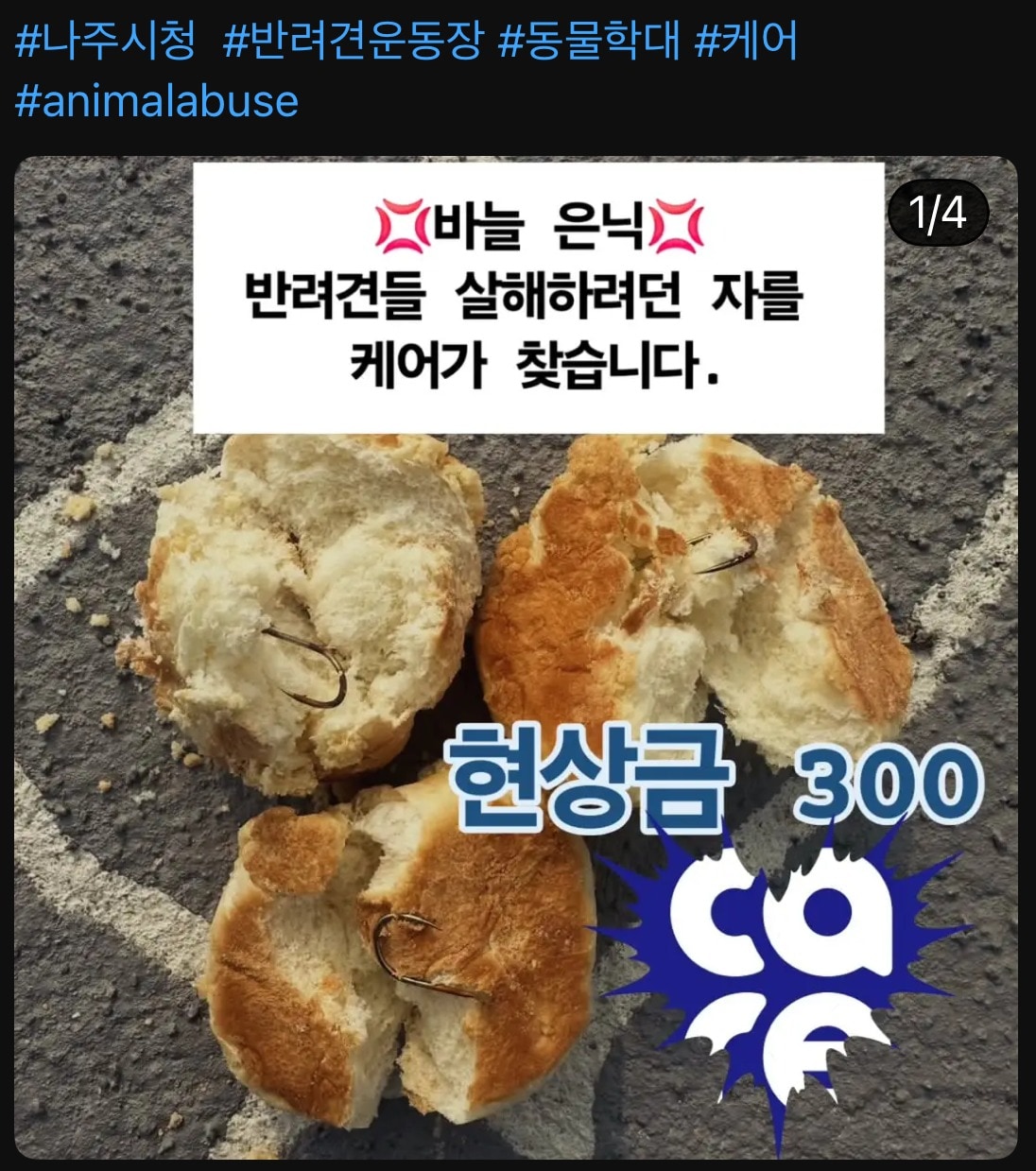 동물보호단체 케어