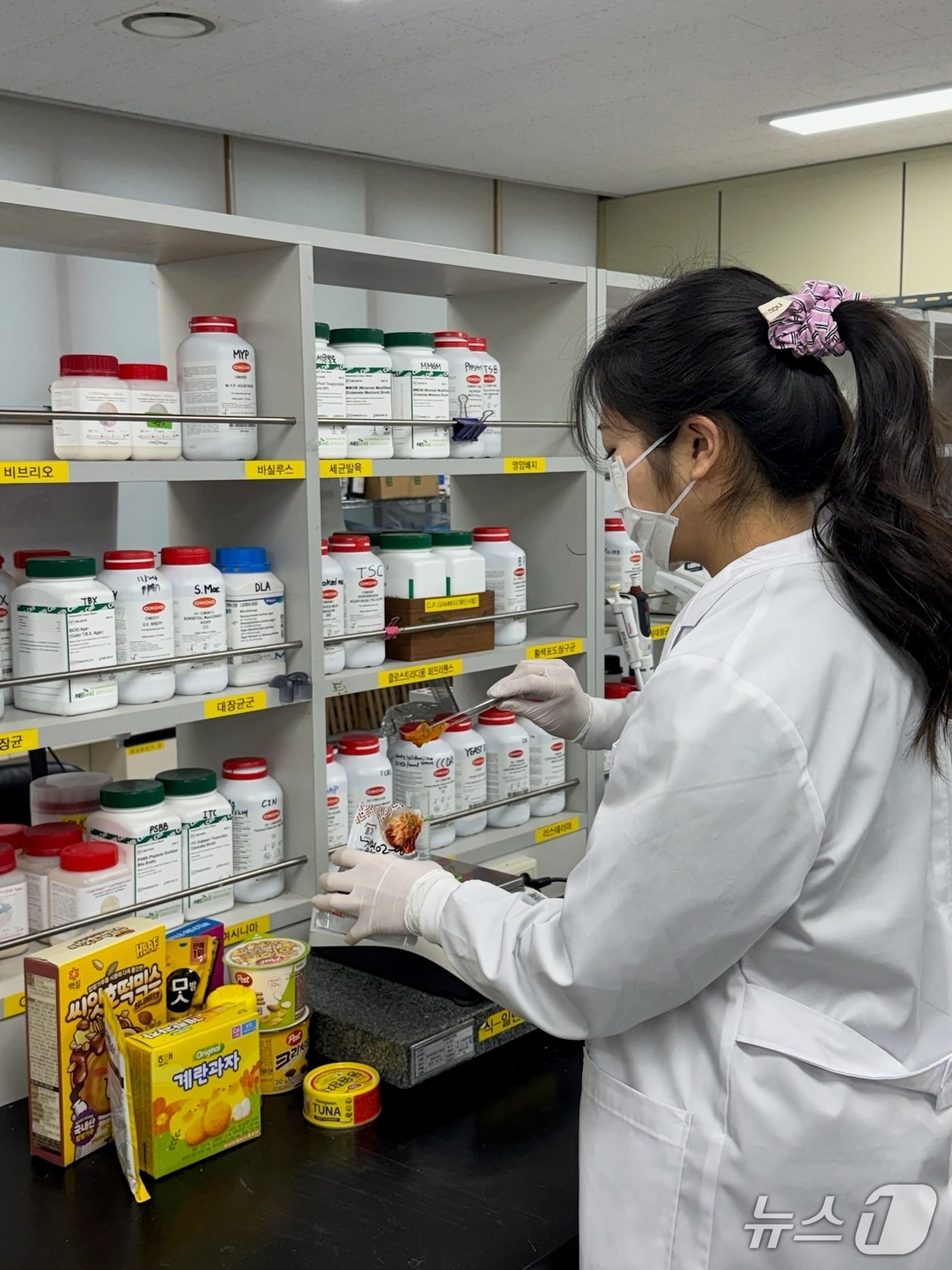 노로바이러스 검사.(전남도 제공. 재판매 및 DB금지) 2026.2.19/뉴스1