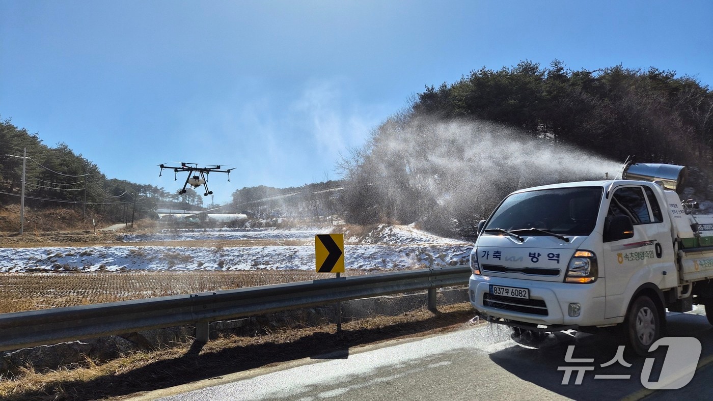 양양 양돈 밀집단지 긴급방역.(농협 강원본부 제공. 재판매 및 DB금지)/뉴스1