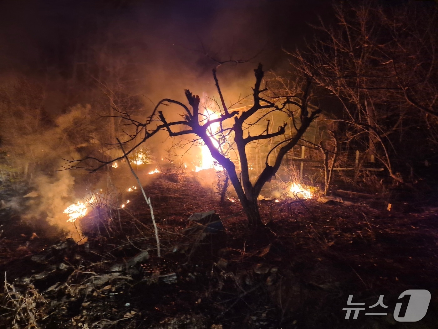 1일 오후 8시 53분쯤 전남 강진군 덕룡산에서 농막에서 난 불이 옮겨붙어 산불이 나 소방당국이 진화하고 있다.(전남소방본부 제공. 재판매 및 DB 금지)