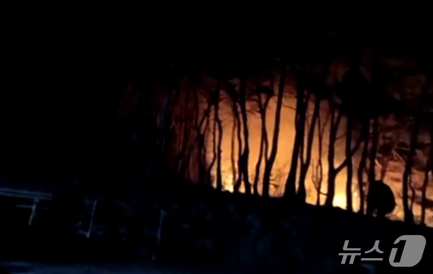 1일 오후 7시 56분 충남 보령시 청라면 의평리 산15-2 일원에서 산불이 났다. (산림청 제공.재판매 및 DB금지)/뉴스1