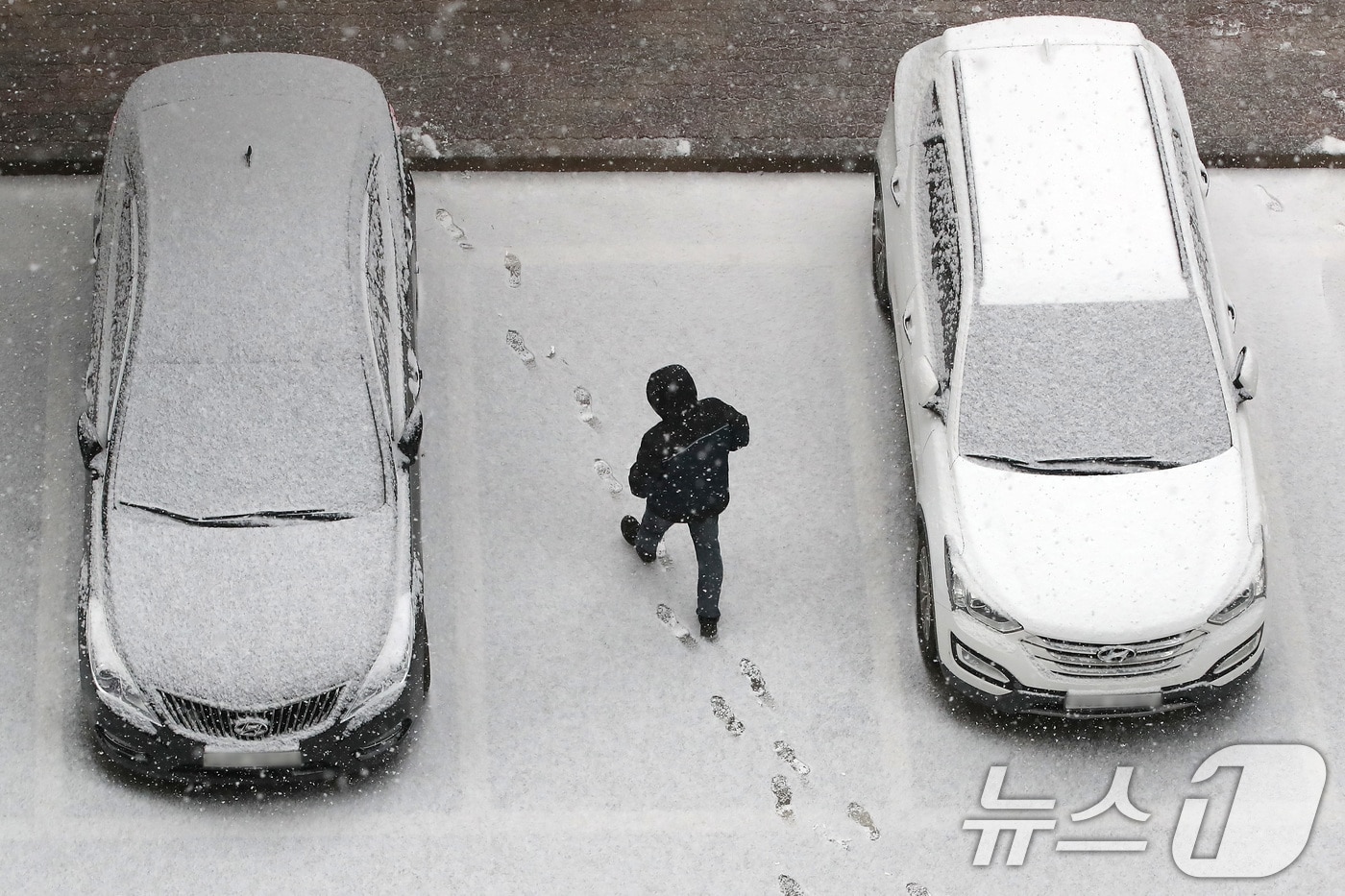 자료사진./뉴스1