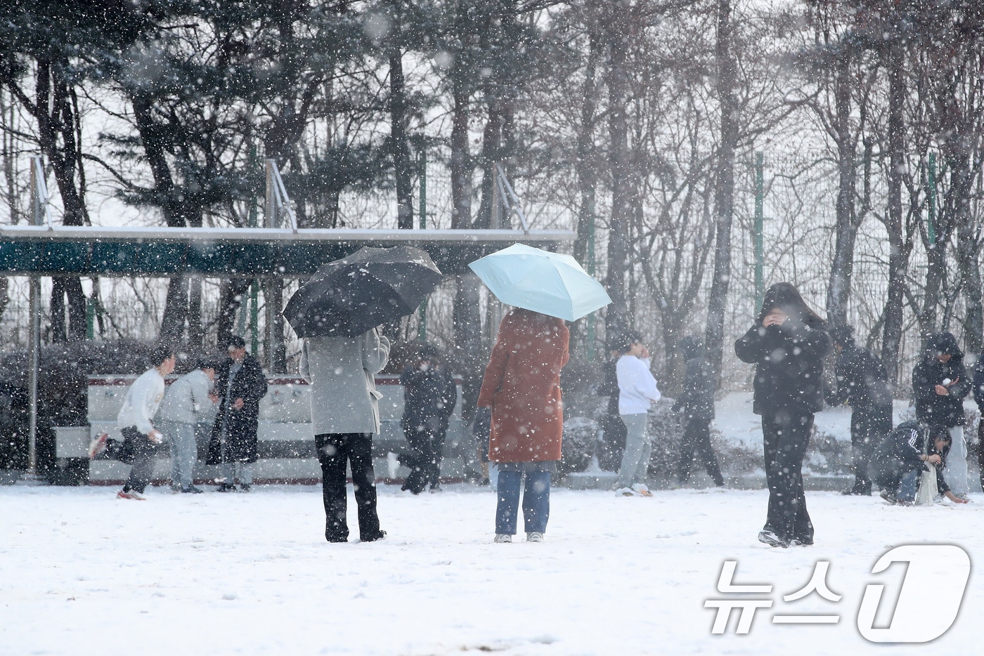 2일 오전 대구의 한 초등학교 운동장에서 학생들이 밤사이 내린 눈을 구경하고 있다. 2026.2.2/뉴스1 ⓒ News1 공정식 기자