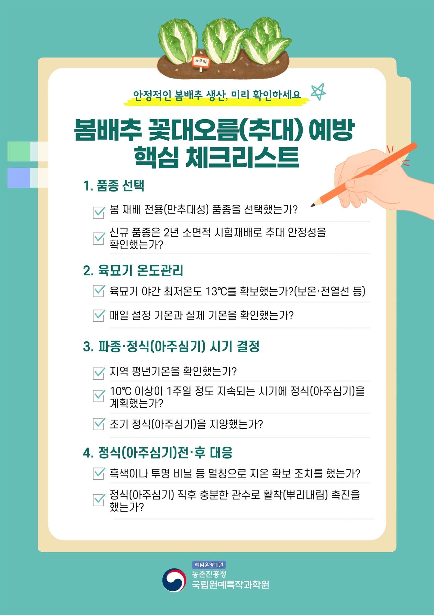 봄배추 꽃대오름(추대) 예방 핵심 점검표 (농촌진흥청 제공. 재판매 및 DB금지) 2026.2.2/뉴스1