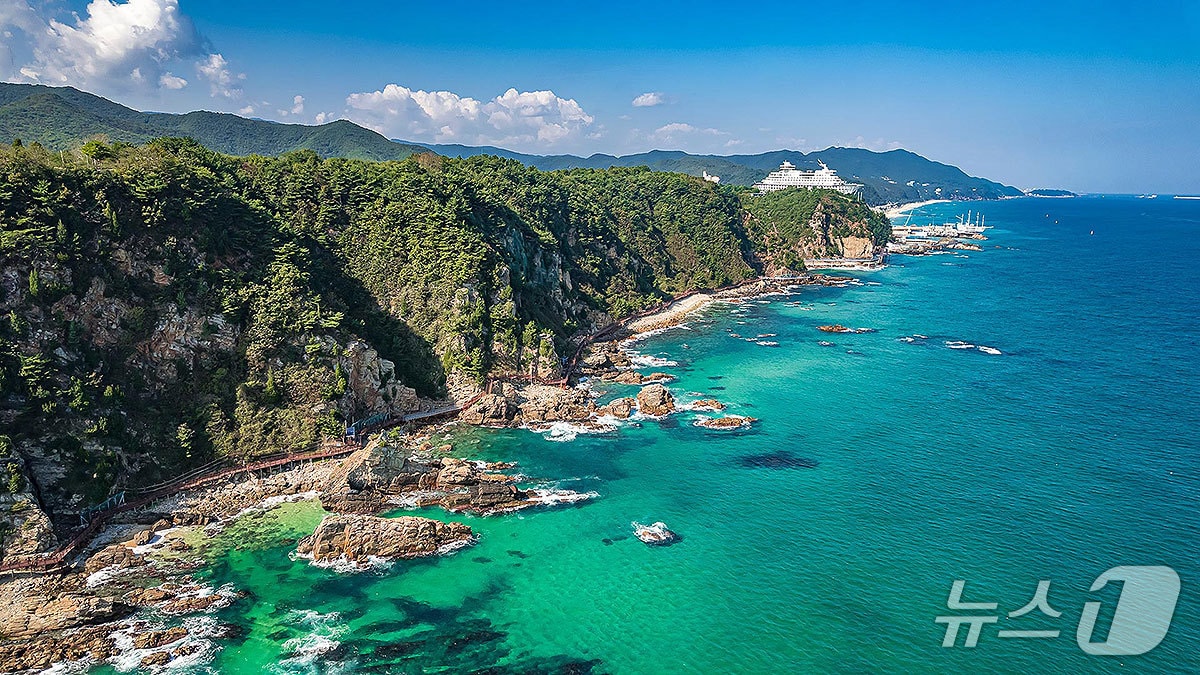 강릉 정동심곡 바다부채길 전경.(강릉관광개발공사 제공, 재판매 및 DB 금지) 2026.2.2/뉴스1