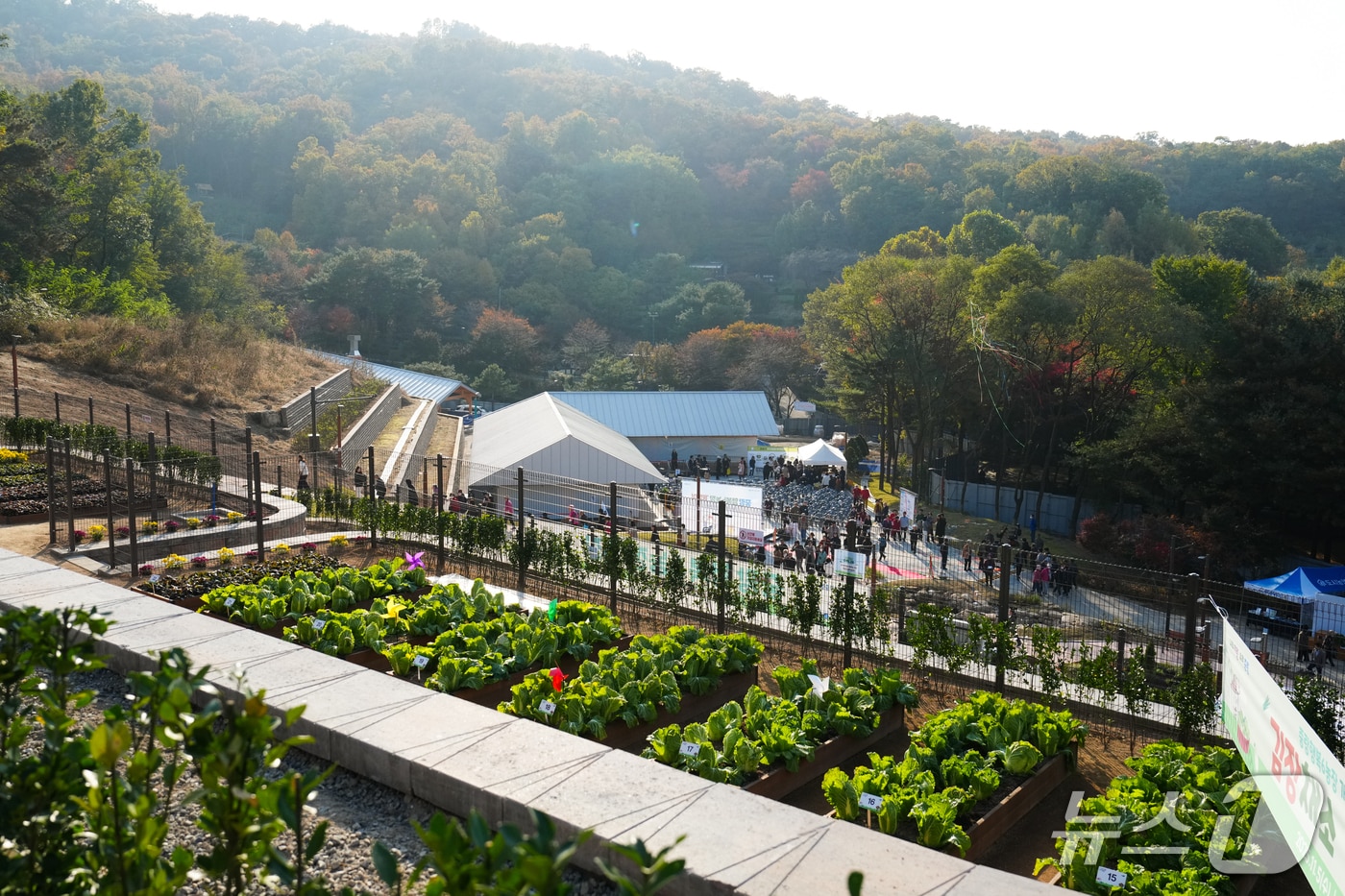 중랑구 자투리텃밭 전경.(서울시 제공)