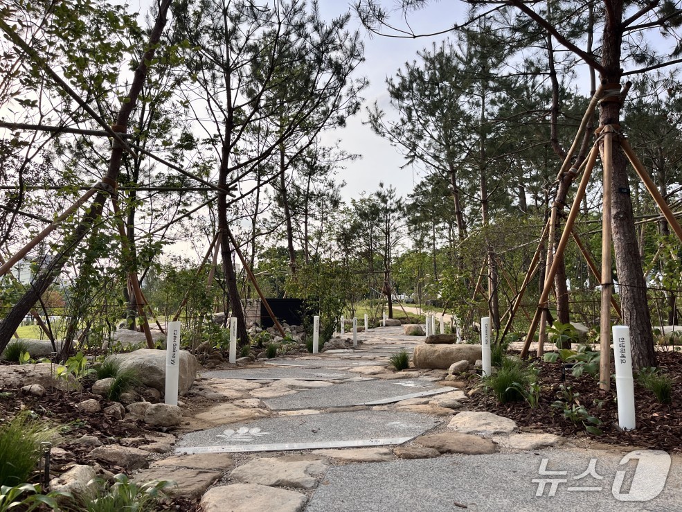 2025년 보라매 서울국제정원박람회에 아시아산림협력기구에서 조성한 정원 'The Spring Grove'.(서울시 제공)