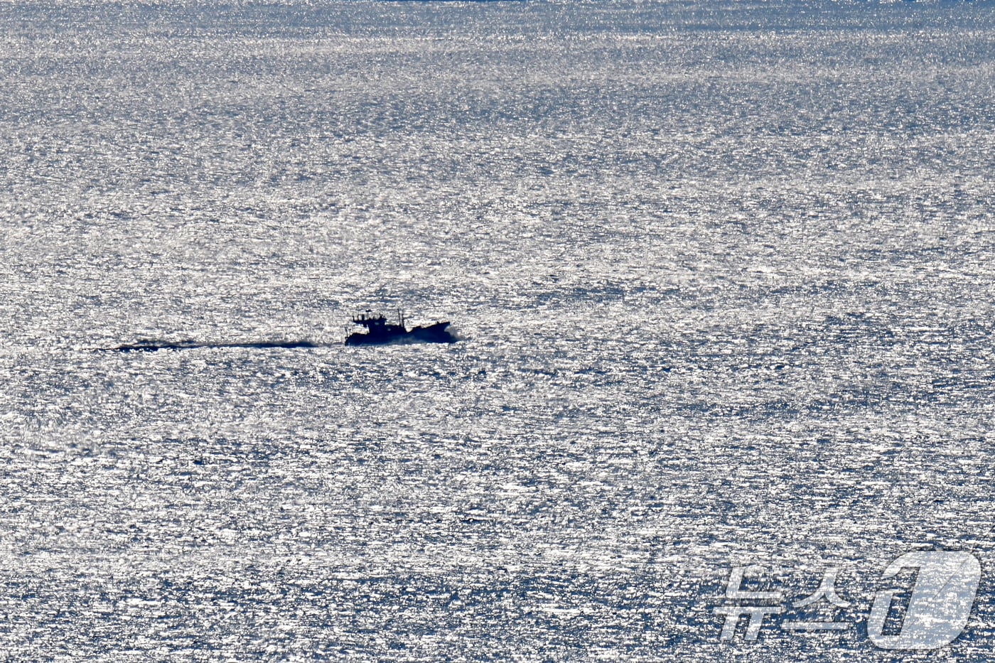 20일 오전 경북 포항시 북구 영일대해수욕장 앞바다에서 조업을 마친 어선이 귀항하고 있다. 2026.2.20 ⓒ 뉴스1 최창호 기자
