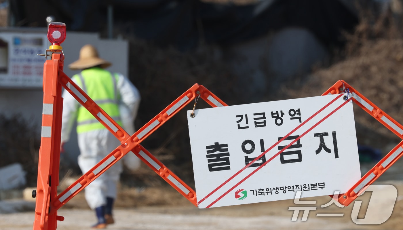 20일 경기 평택시의 한 양돈농장에서 고병원성 아프리카돼지열병(ASF) 발생해 방역당국이 통제 및 방역 작업을 하고 있다. 2026.2.20 ⓒ 뉴스1 김영운 기자