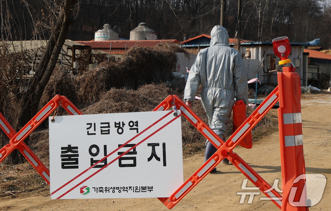 20일 경기 평택시의 한 양돈농장에서 고병원성 아프리카돼지열병(ASF) 발생해 방역당국이 통제 및 방역 작업을 하고 있다. 2026.2.20 ⓒ 뉴스1 김영운 기자