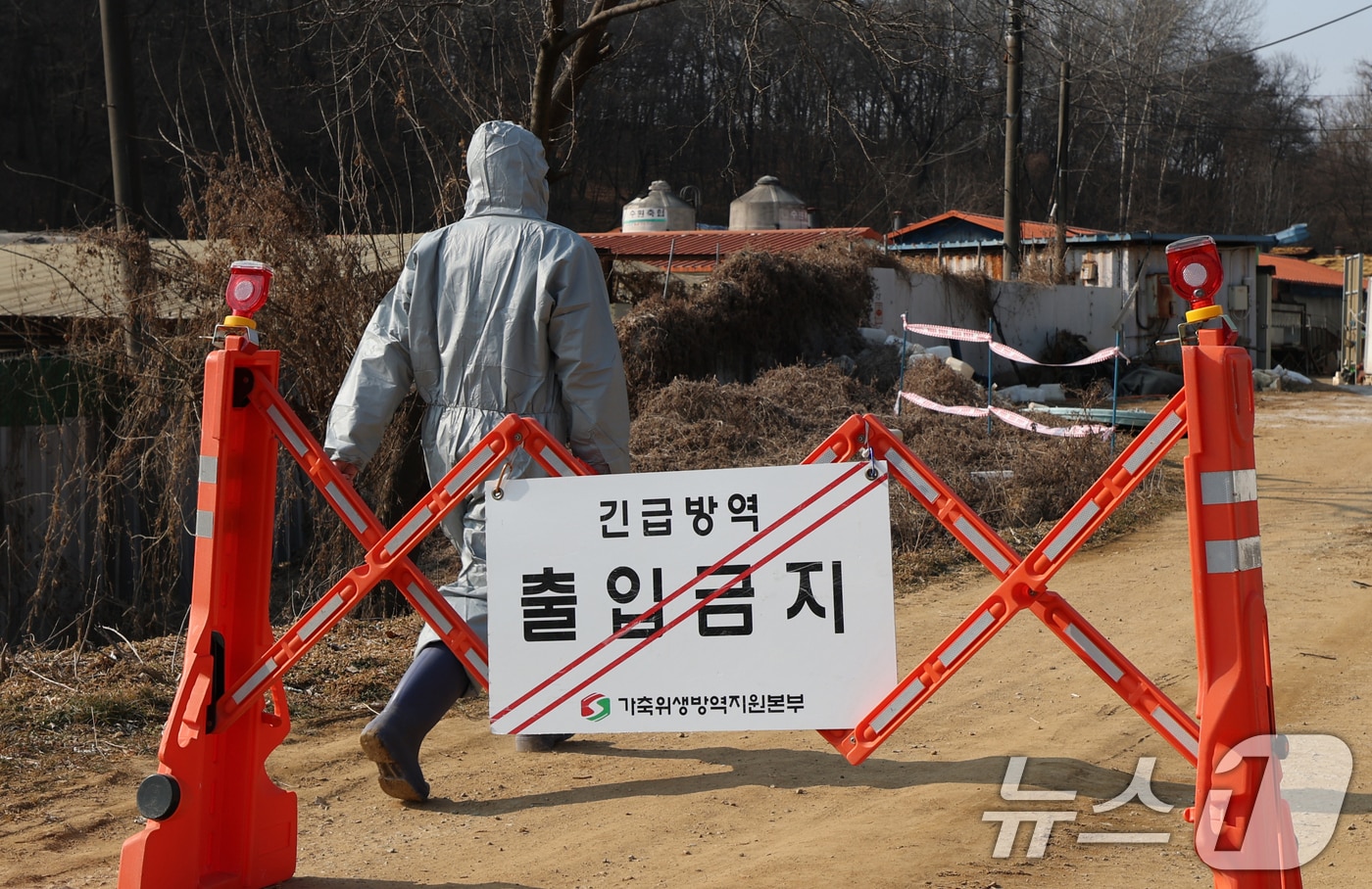 20일 경기 평택시의 한 양돈농장에서 아프리카돼지열병(ASF) 발생해 방역당국이 통제 및 방역 작업을 하고 있다. 2026.2.20 ⓒ 뉴스1 김영운 기자