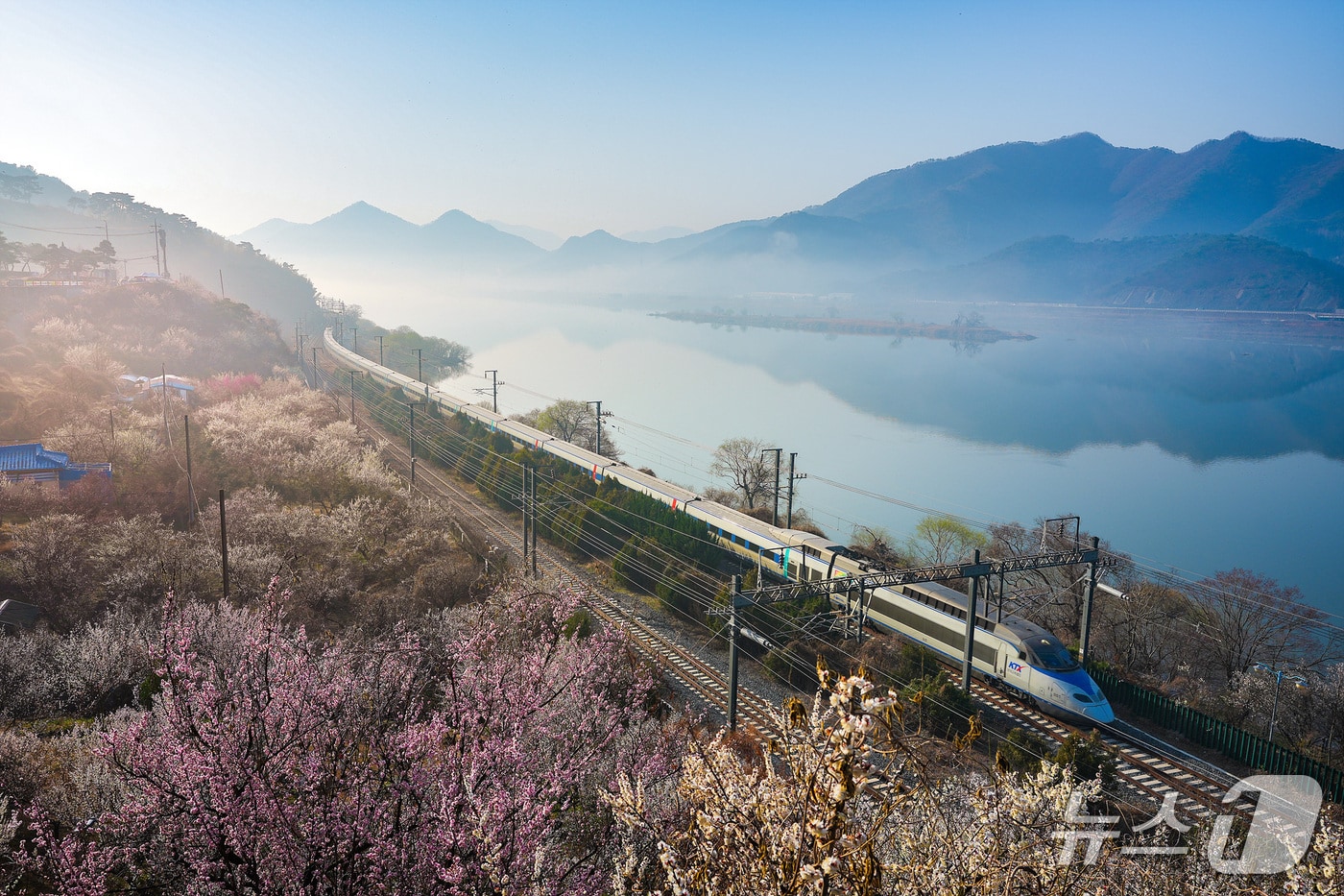 KTX 열차가 원동역 근처를 주행하고 있다.(코레일 부산경남본부 제공. 재판매 및 DB 금지)