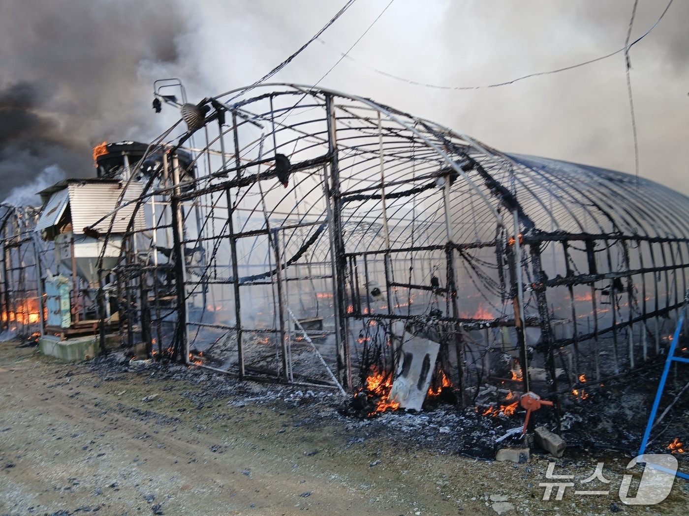 20일 오후 3시 21분께 전북 정읍시 북면의 한 양계장에서 불이 났다.(전북소방본부 제공. 재판매 및 DB금지)