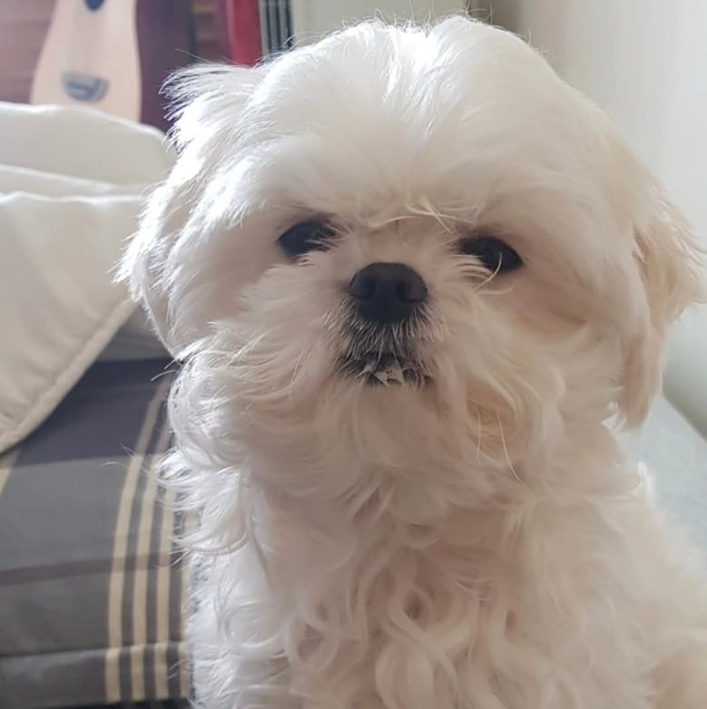 꽃분이/구성환 인스타그램