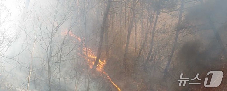 홍천 산불 발생 현장.(강원도소방본부 제공. 재판매 및 DB금지)/뉴스1