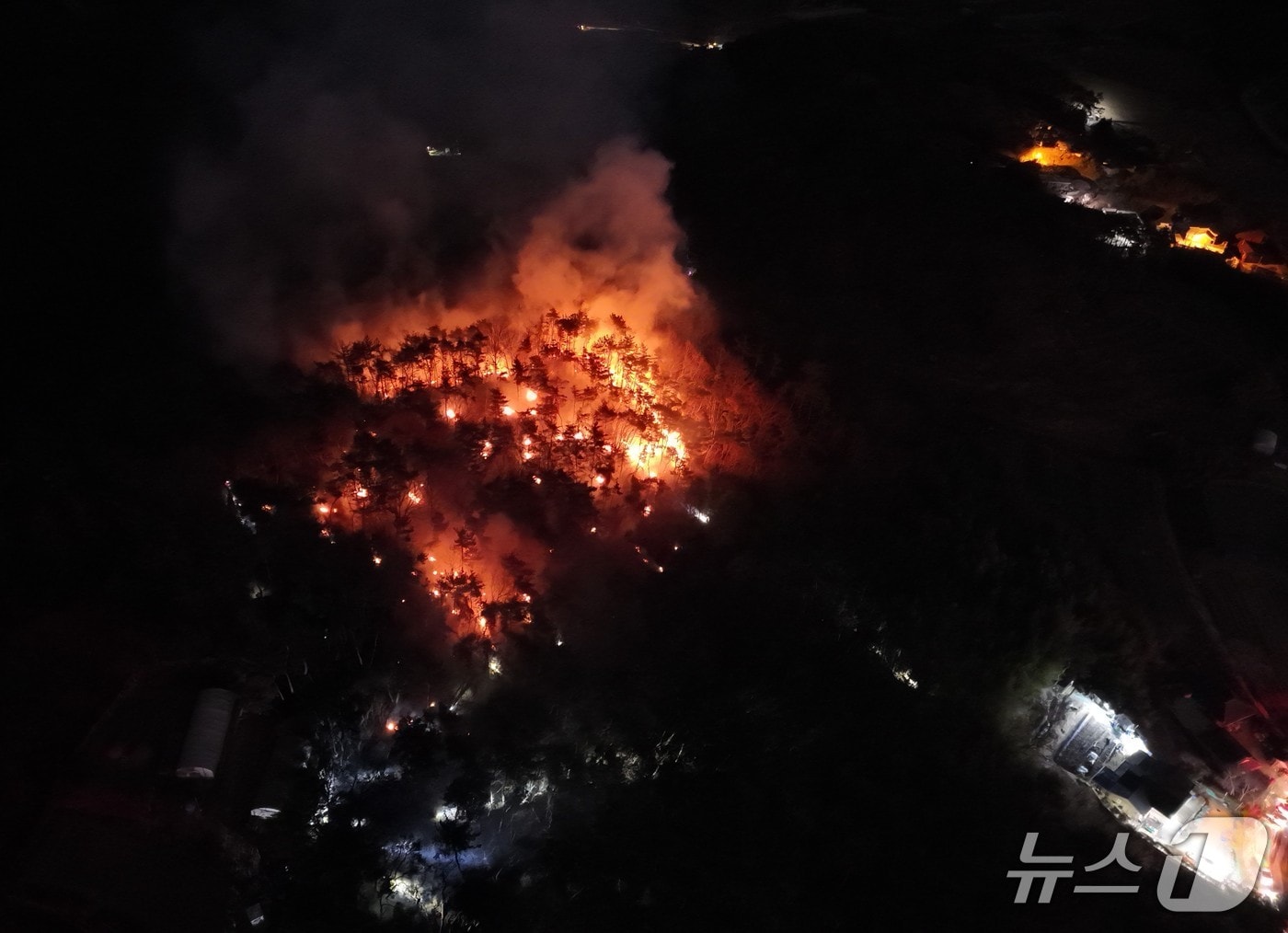 22일 오전 3시 44분께 울산 중구 성안동의 한 야산에서 불이 나 소방 당국이 진화 작업을 하고 있다. (울산소방본부 제공. 재판매 및 DB 금지) /뉴스1