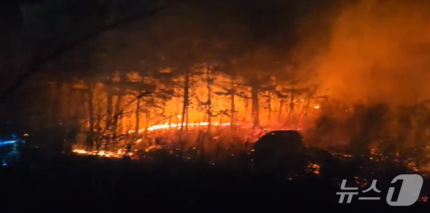 22일 오후 7시 22분쯤 강원 고성군 토성면에서 산불이 발생해 산림·소방 당국이 대응에 나서고 있다. (강원도소방본부 제공. 재판매 및 DB금지) 2026.2.22/뉴스1