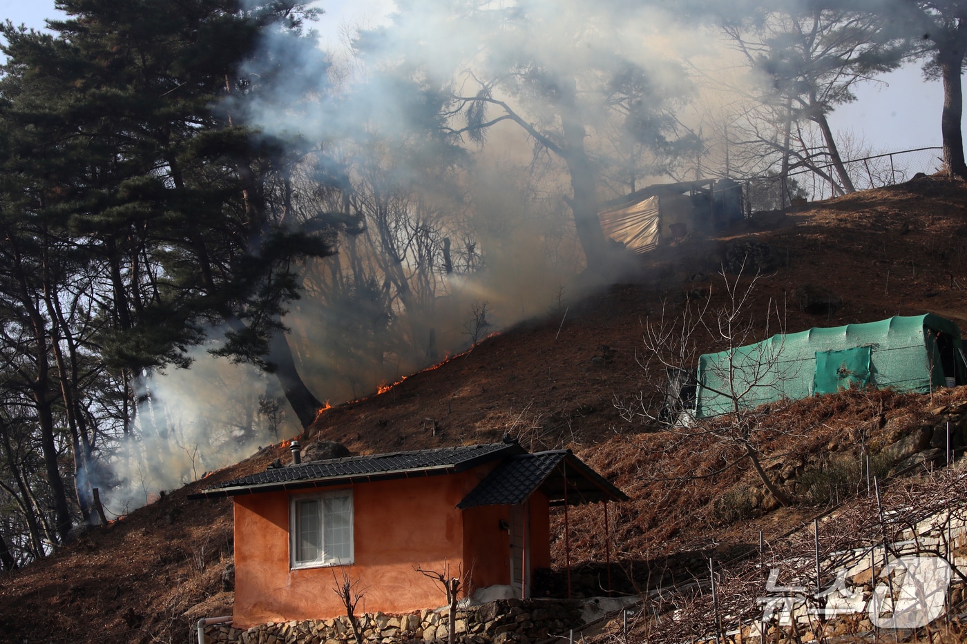 함양 산불이 23일 휴천면 백연마을 인근까지 접근했다. 2026.2.23/뉴스 윤일지기자